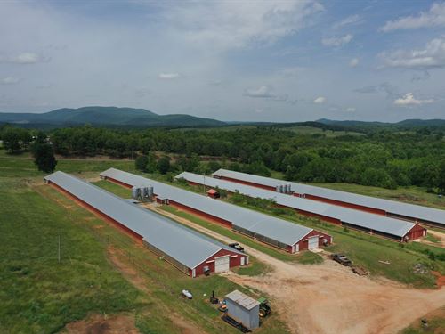 Solid Rock Broiler Farm : Lineville : Clay County : Alabama
