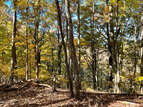 69 Acres, Union County, Georgia : Young Harris : Union County : Georgia