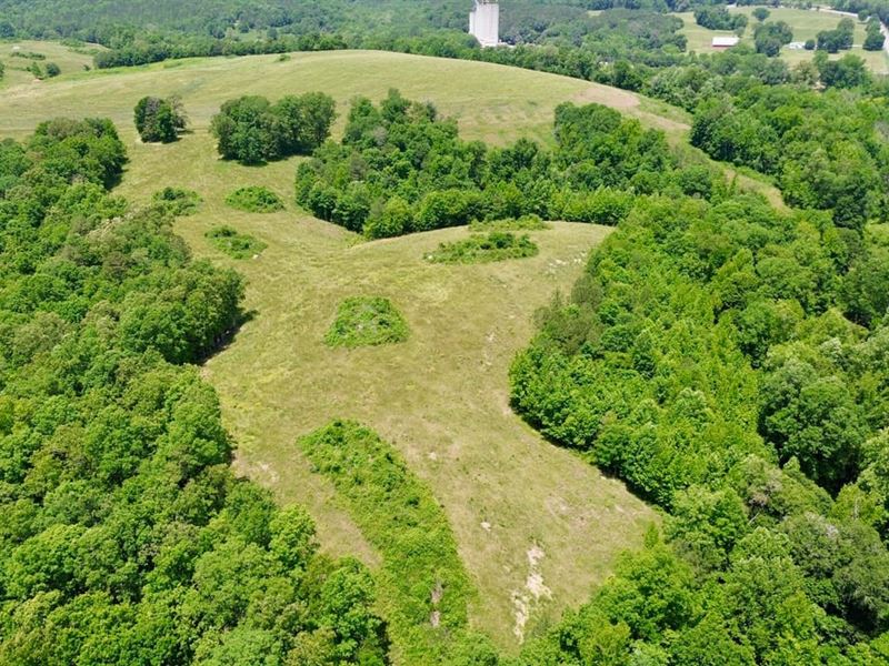 Attalla, AL 185 Acre Cattle/Multipu : Attalla : Etowah County : Alabama