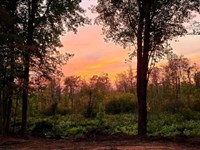 44 Acres, Welcome to The Sanctua : Vandalia : Cass County : Michigan