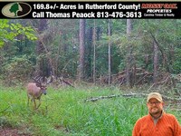 169.8 Ac Creekfront With Lake Acc : Union Mills : Rutherford County : North Carolina