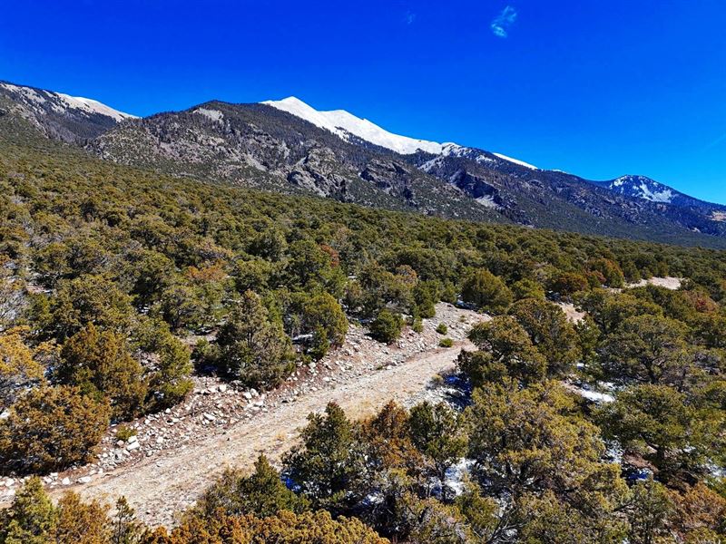 Rare Footsteps to National Forest : Alamosa : Alamosa County : Colorado