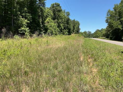 Poorhouse Road Lot 2 : Greenville : Butler County : Alabama