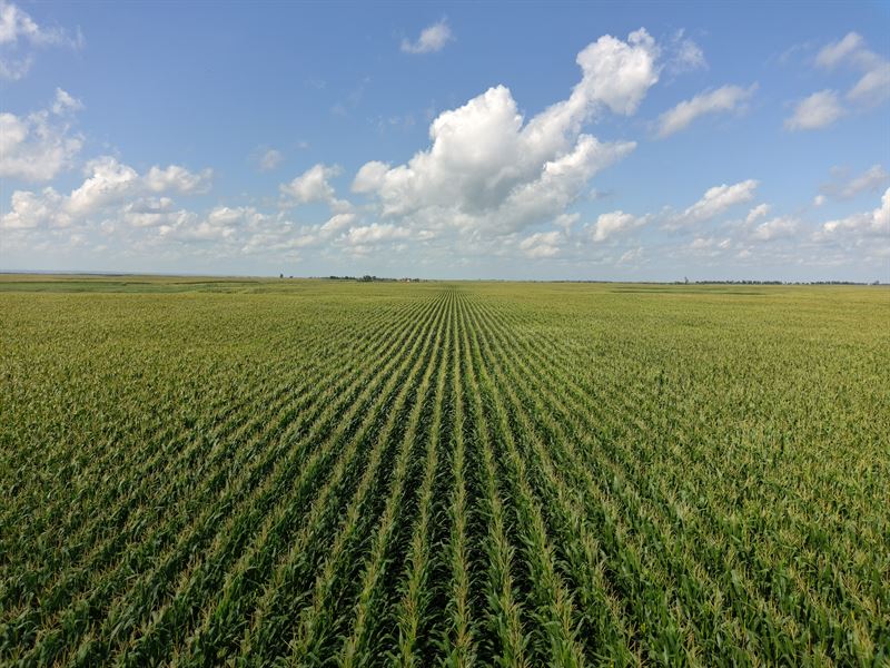303.60 Acres Brown County : Westport : Brown County : South Dakota