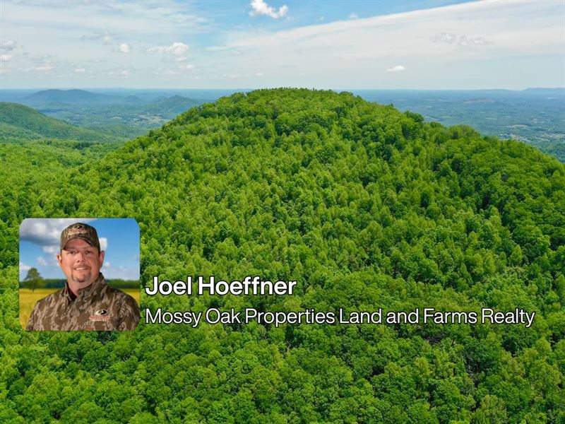 150.81 Acres : Vinton : Bedford County : Virginia