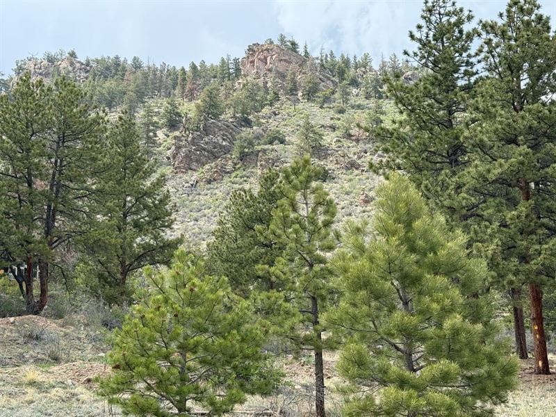 Silver Springs Ranch : Lake George : Park County : Colorado