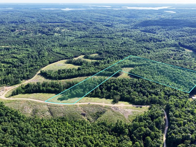 33 Acres w Power & Fiber Internet : Dover : Stewart County : Tennessee