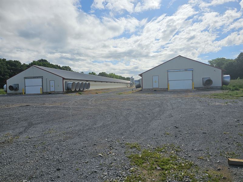 Red Rock Breeder Farm : Dresden : Weakley County : Tennessee