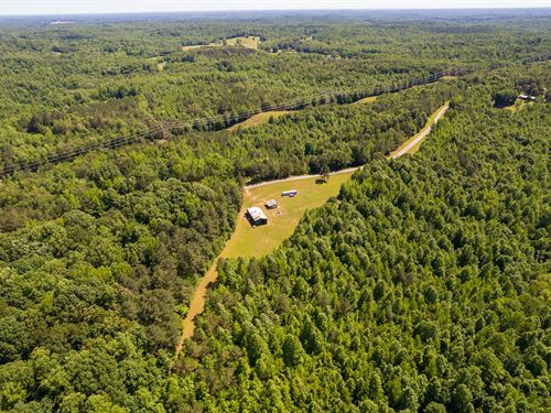 91 Acre Hunting & Timber Tract : Cedar Grove : Henderson County : Tennessee