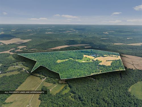 Remarkable Hunting Land : White Plains : Christian County : Kentucky