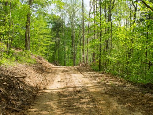 Hunting Land, $999 Down : Mount Vernon : Rockcastle County : Kentucky