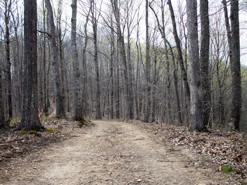 $999 Down, No Credit Check : Mount Vernon : Rockcastle County : Kentucky