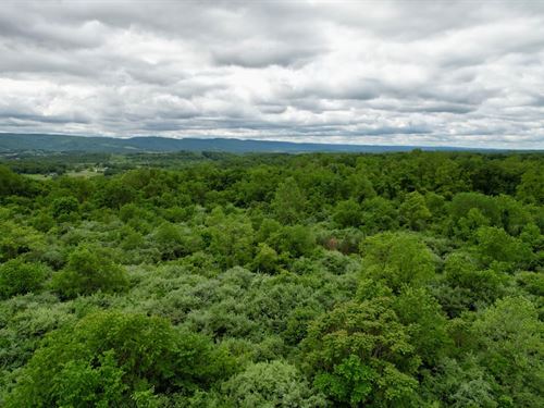 Smiley Rd, Fayette County, 255 : Uniontown : Fayette County : Pennsylvania