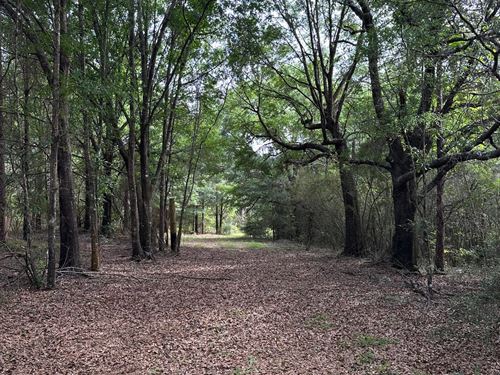 54 Ac CR 7 Conecuh Co, AL : Repton : Conecuh County : Alabama