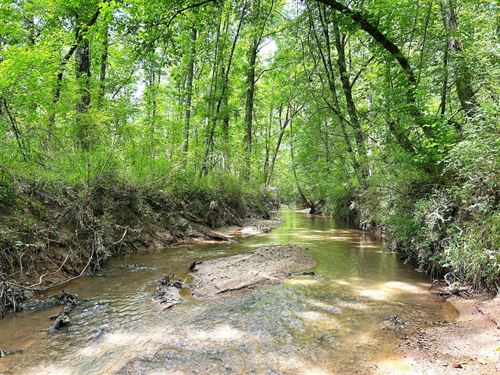 366+ AC Next To BF Grant Wma : Eatonton : Putnam County : Georgia
