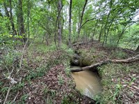 14.7 Acre Near The Lake : Eatonton : Putnam County : Georgia