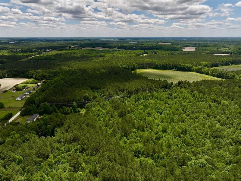 27.94 Acres of Recreational and Res : Enfield : Halifax County : North Carolina