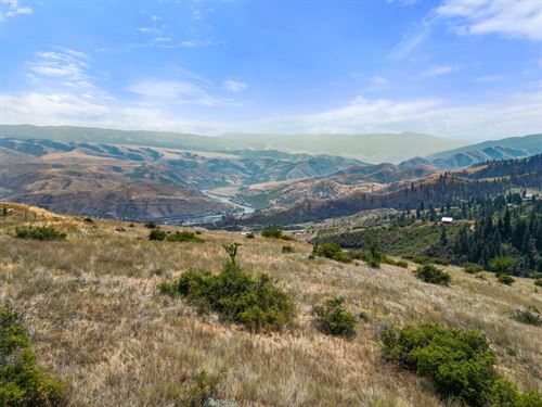Blue Grouse Road : White Bird : Idaho County : Idaho