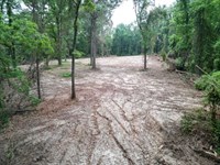 Hamburg 41 Hunting Land For Sale : Roxie : Franklin County : Mississippi