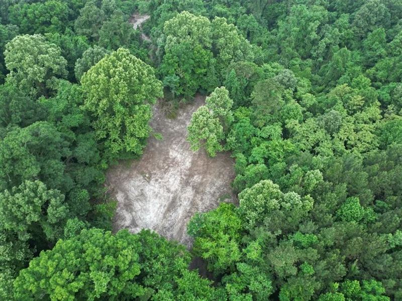 51 Acres Of Hunting Land for Sale : Roxie : Franklin County : Mississippi
