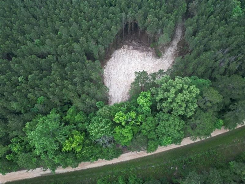 Secluded Land for Sale in Roxie : Roxie : Franklin County : Mississippi