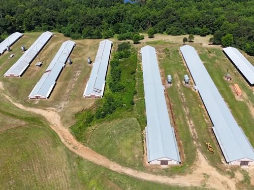6 House Broiler Farm With Residence : Downsville : Ouachita Parish : Louisiana