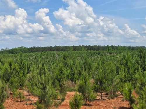 Big Springs Tract : Roanoke : Randolph County : Alabama