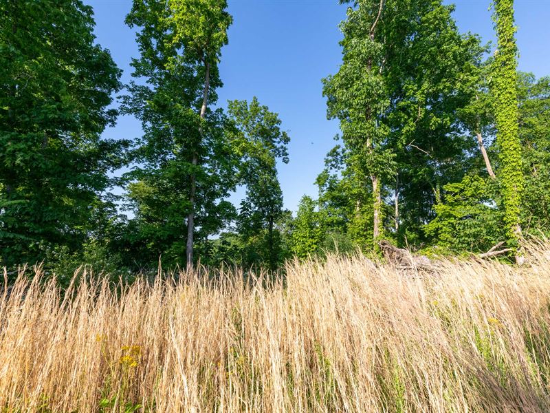 5 Acres + Stream, $365/Mo : Linden : Perry County : Tennessee