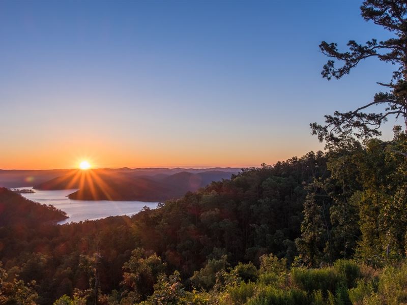 Wow 7.2 Ac of Creekfront Paradise : Ellijay : Gilmer County : Georgia