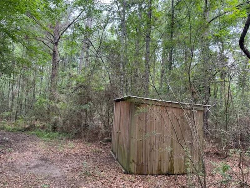 Hunting Camp On 15 Acres, Tylertow : Tylertown : Walthall County : Mississippi