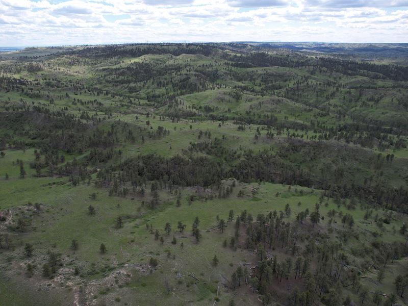 Custer Legacy Ranch : Custer : Big Horn County : Montana