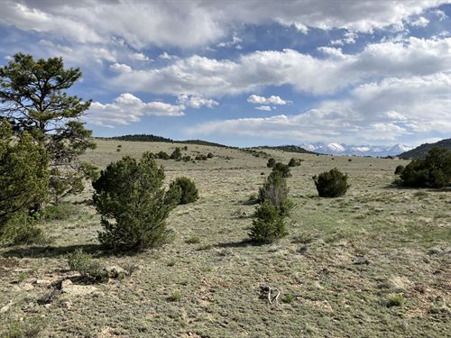 Riggs Mesa : Westcliffe : Custer County : Colorado
