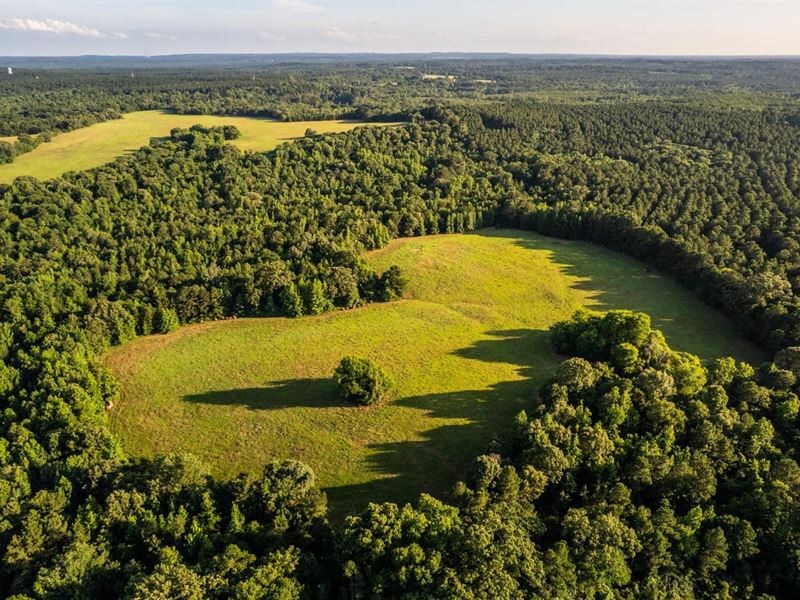 Spring Meadows Ranch : Harleton : Harrison County : Texas