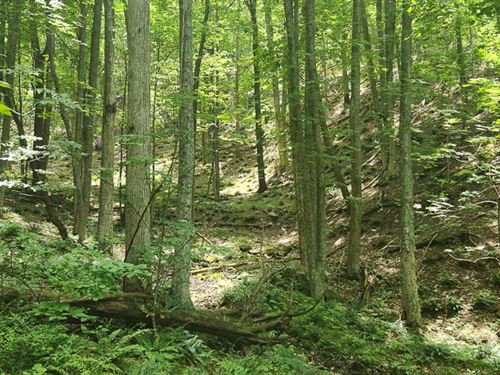 34.31 Acres of Re : Pearisburg : Giles County : Virginia