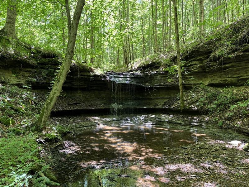 Hunting Camp with Cabin On 171 Acre : Savannah : Hardin County : Tennessee