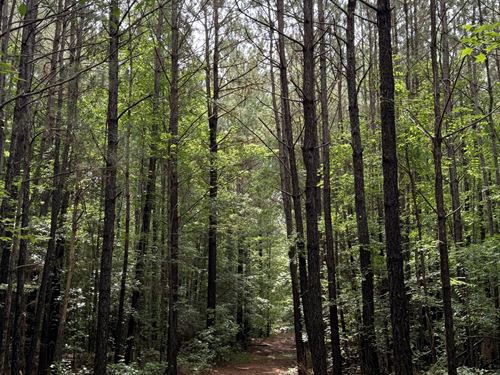 Quiet Tract of Land in The Country : Eagle Springs : Moore County : North Carolina