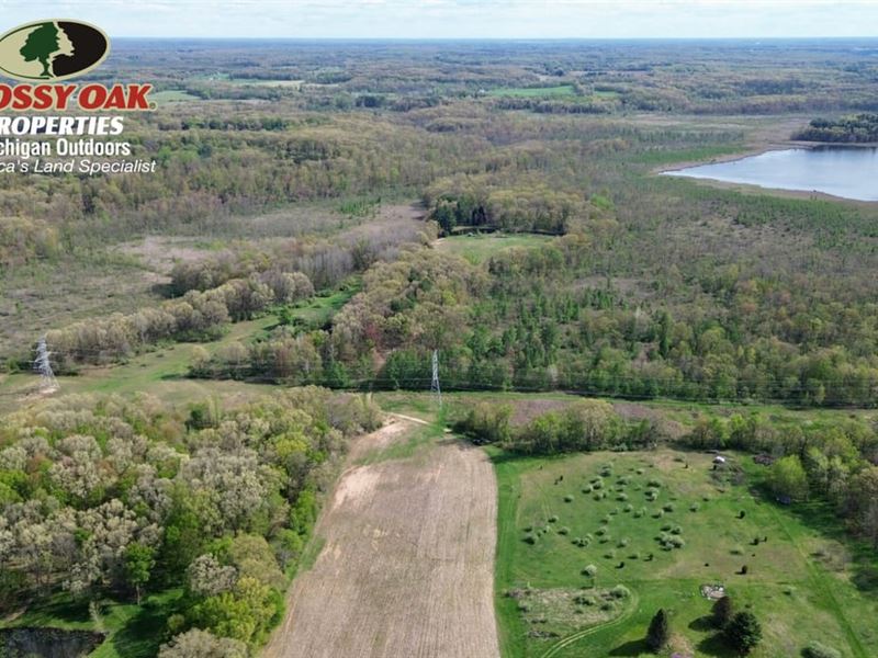 138 Eaton & Calhoun County / Be : Bellevue : Eaton County : Michigan