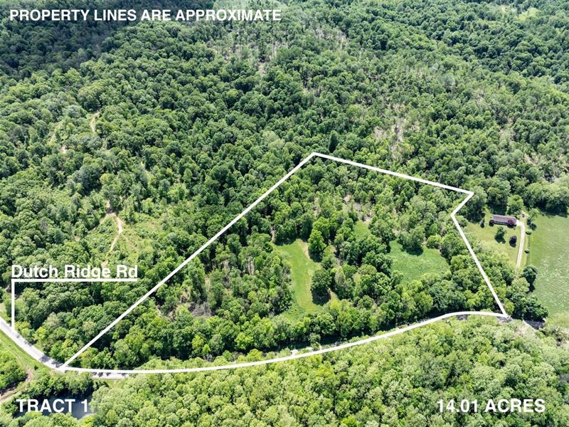 Dutch Ridge Rd, 14 Acres, Perry : New Straitsville : Perry County : Ohio
