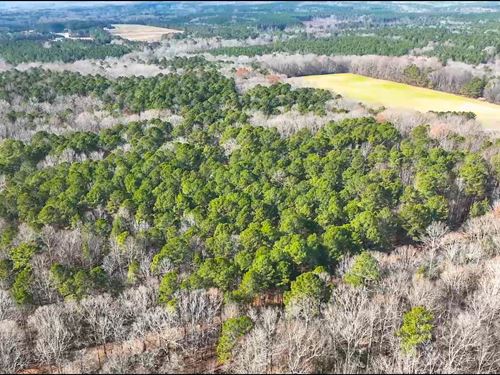 Secluded Wooded Acreage : Pittsboro : Chatham County : North Carolina