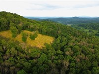 Johnson Hollow, Watertown, TN : Watertown : Wilson County : Tennessee