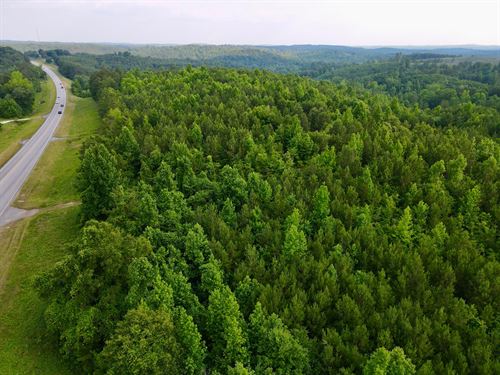 78 Acres on Highway 431 in Rand : Heflin : Randolph County : Alabama