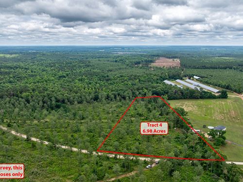 Tract 4 McWhorter Road : Stephens : Oglethorpe County : Georgia