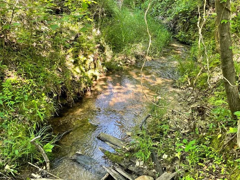 7.8 Acres, Tract 1 On Cl : Honea Path : Abbeville County : South Carolina