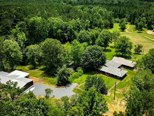 Home & Cabin On 123.66 Acres : McCall Creek : Franklin County : Mississippi