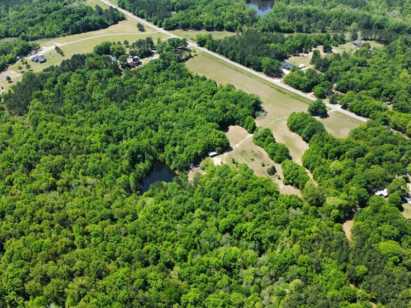 26 Acres Russell County : Seale : Russell County : Alabama