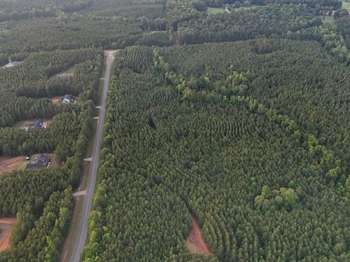 43 Acres Harris Co. GA : Waverly Hall : Harris County : Georgia