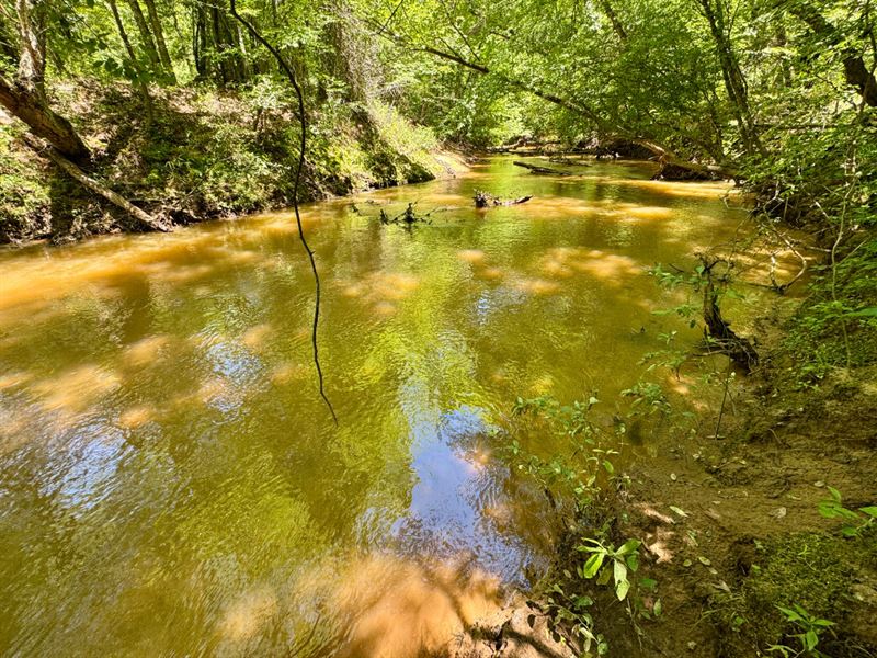 Waterfront Valley Creek Black Belt : Valley Grande : Dallas County : Alabama
