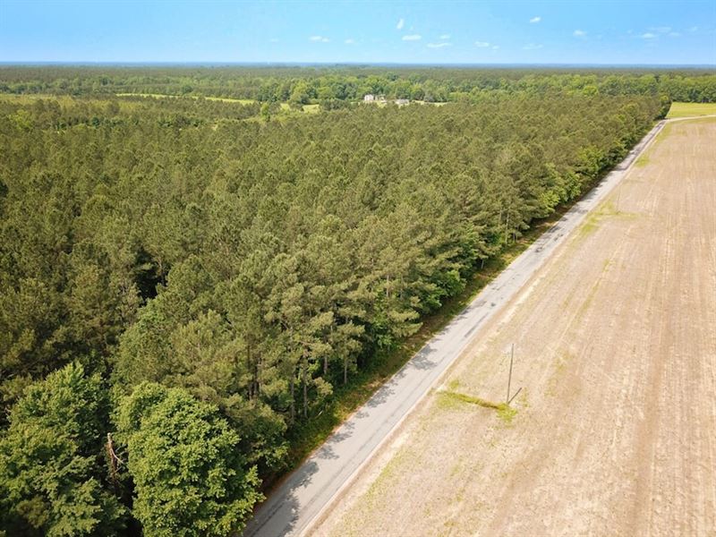 38 Acres of Timberland for Sale : Jarratt : Sussex County : Virginia