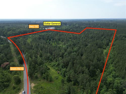 43 Acres on Grant Rd 10 Near 167 : Sheridan : Grant County : Arkansas