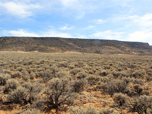 $259/Mo Gets You CO Land : Blanca : Costilla County : Colorado